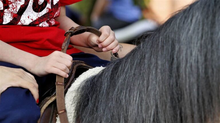 Mãos de criança na sela de um cavalo para texto Benefícios da Equoterapia para autistas - Foto de Marco Quintana