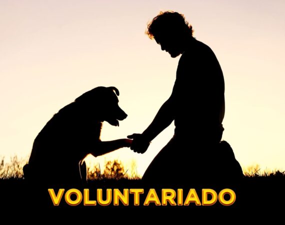 Silhueta de uma pessoa e um cão, ilustrando o Dia Nacional do Voluntariado 2021. Descrição detalhada na legenda.