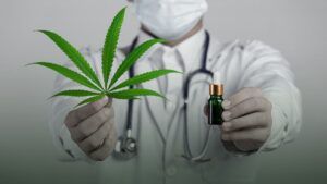 Médico segura folha da planta Cannabis e frasco de medicamento. Participe da consulta pública do canabidiol.
