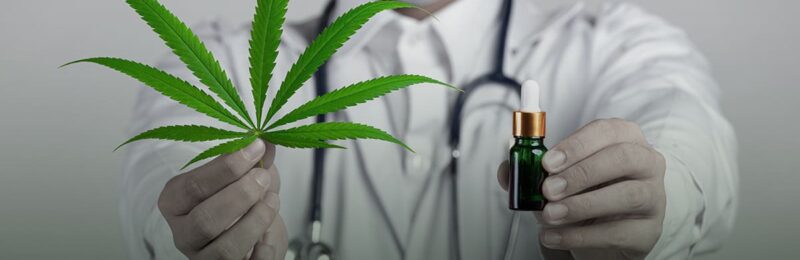 Participe da consulta pública do canabidiol aberta a população até dia 23 de dezembro