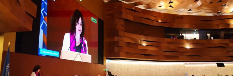 Brasil na Assembleia Mundial da Saúde: “Equidade em saúde e cultura da paz”
