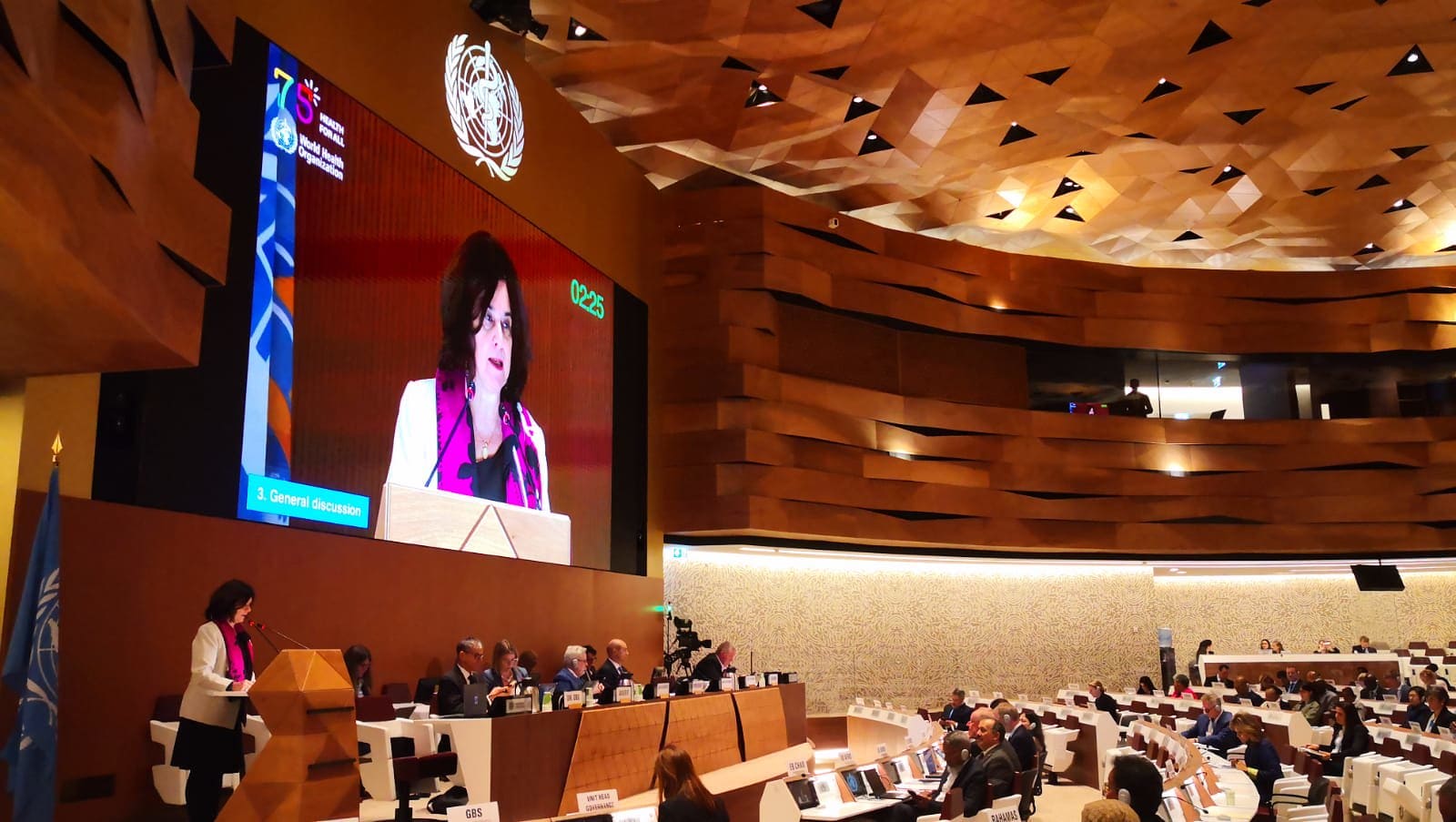 Ministra da Saúde, Nísia Trindade, em pronunciamento no Palais des Nations, em Genebra, Suíça, representando o Brasil na Assembleia Mundial da Saúde da OMS.