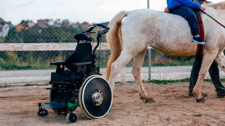 Em ambiente externo, sobre chão de terra, há uma cadeira de rodas, à esquerda. À direita da imagem podemos ver parte de um cavalo branco com uma criança durante Programa Equoterapia Inclusiva em SP e as pernas de uma pessoa terapeuta. Ao fundo, em segundo plano, há cercado, vegetação e residências.