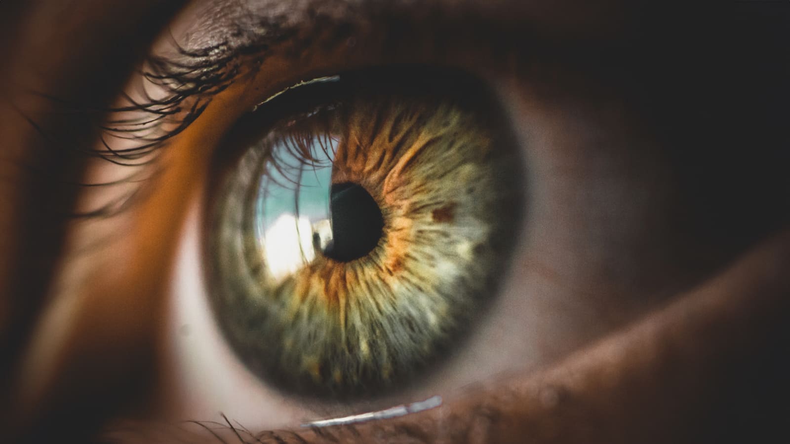 Imagem em close de olho humano exibido em detalhe, mostrando textura e características. O olho é de cor avelã com tom esverdeado. Imagem em ângulo lateral com fundo desfocado, ilustra a primeira córnea artificial nacional criada por cientistas da Unifesp.