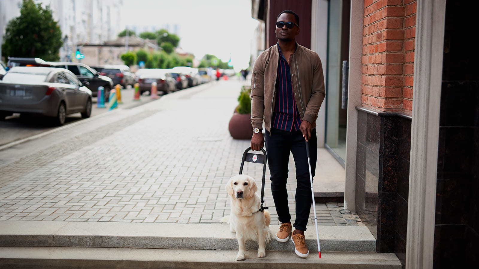 Pessoa com deficiência visual acompanhada por um cão-guia em ambiente urbano. Curso de Reabilitação Visual Gratuito.