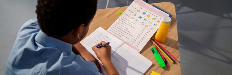 Dia Nacional da Escola: Analfabetismo entre pessoas com deficiência persiste