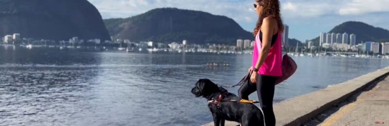 Amor de Bicho: A importância do cão-guia para pessoas cegas é retratada em série